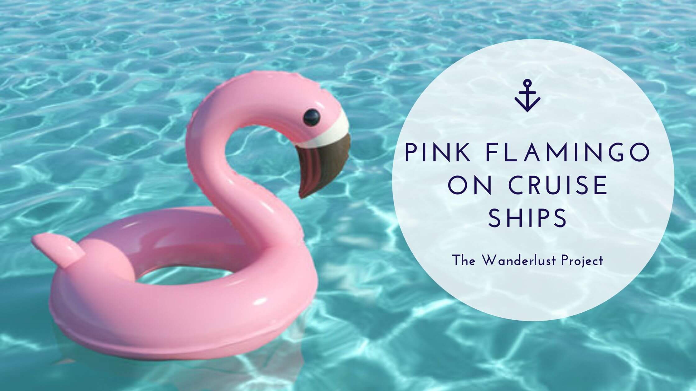 Pink Flamingos Meaning on Cruise Ships — All You Need to Know